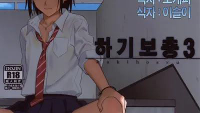 하기보충 3