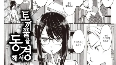 토끼풀을 동경해서