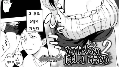 내가 원하는것 2