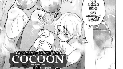 코쿤