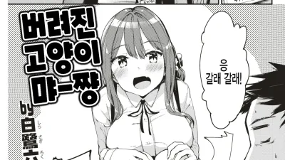 버려진 고양이 먀-쨩